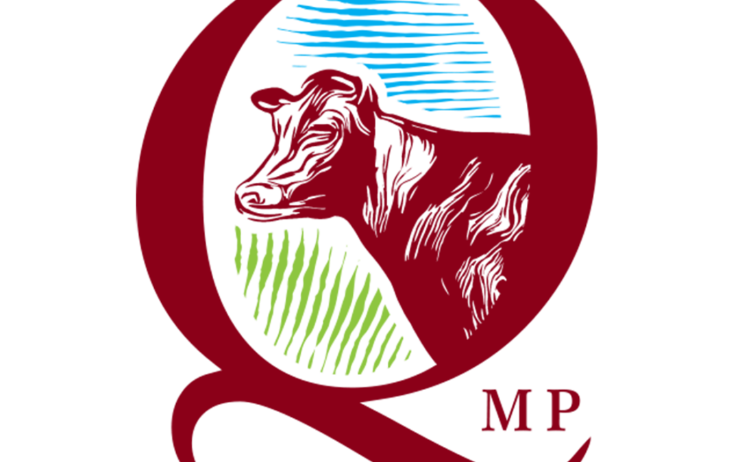Startuje konkurs „Doradca QMP 2025” – zgłoś się już dziś!