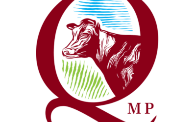 Startuje konkurs „Doradca QMP 2025” – zgłoś się już dziś!